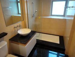 Cairnhill Crest (D9), Condominium #482280641